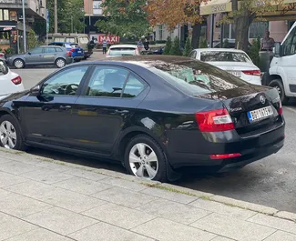 Vista frontale di un noleggio Skoda Octavia a Belgrado, Serbia ✓ Auto #2554. ✓ Cambio Manuale TM ✓ 0 recensioni.