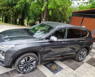 Noleggio auto Hyundai Santa Fe #3073 Automatico a Simferopol, dotata di motore 2,0L ➤ Da Andrey in Crimea.