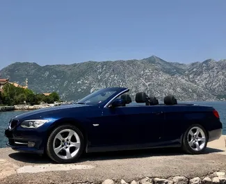 Motore Benzina da 2,0L di BMW 3-series Cabrio 2014 per il noleggio a Budva.