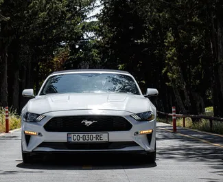 Noleggio auto Ford Mustang Cabrio #8032 Automatico a Tbilisi, dotata di motore 2,3L ➤ Da Tamta in Georgia.