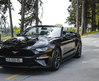 Vista frontale di un noleggio Ford Mustang Cabrio a Tbilisi, Georgia ✓ Auto #8031. ✓ Cambio Automatico TM ✓ 1 recensioni.