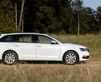 Motore Diesel da 1,6L di Skoda Octavia Combi 2018 per il noleggio a Podgorica.