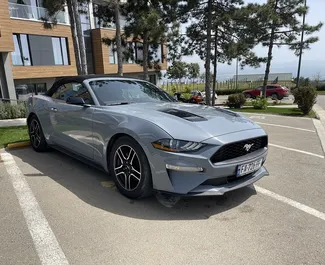 Vista frontale di un noleggio Ford Mustang Cabrio a Tbilisi, Georgia ✓ Auto #6323. ✓ Cambio Automatico TM ✓ 2 recensioni.