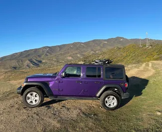 Motore Benzina da 2,0L di Jeep Wrangler 2023 per il noleggio a Tbilisi.