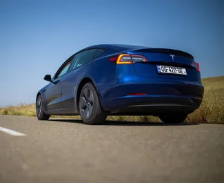 Motore Elettrica da L di Tesla Model 3 2023 per il noleggio a Tbilisi.