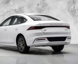 Noleggio BYD Qin Plus. Auto Comfort per il noleggio in Azerbaigian ✓ Cauzione di Deposito di 300 AZN ✓ Opzioni assicurative RCT, CDW, SCDW, FDW, Passeggeri, Furto, Giovane, Senza deposito.