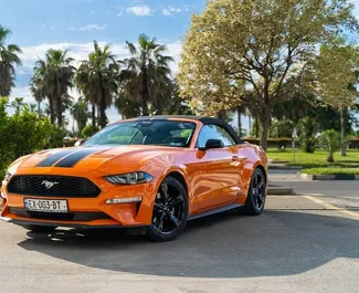 Vista frontale di un noleggio Ford Mustang Cabrio a Batumi, Georgia ✓ Auto #13531. ✓ Cambio Automatico TM ✓ 0 recensioni.