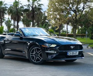 Vista frontale di un noleggio Ford Mustang Cabrio a Batumi, Georgia ✓ Auto #13532. ✓ Cambio Automatico TM ✓ 0 recensioni.