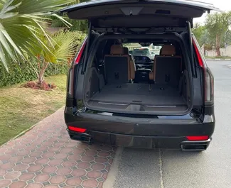 Noleggio auto Cadillac Escalade 2024 negli Emirati Arabi Uniti, con carburante Benzina e 420 cavalli di potenza ➤ A partire da 1050 AED al giorno.