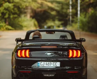 Motore Benzina da 2,3L di Ford Mustang Cabrio 2022 per il noleggio a Tbilisi.