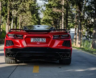 Noleggio auto Chevrolet Corvette 2021 in Georgia, con carburante Benzina e 495 cavalli di potenza ➤ A partire da 900 GEL al giorno.