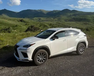 Noleggio auto Lexus NX 2020 in Armenia, con carburante Benzina e 141 cavalli di potenza ➤ A partire da 95 USD al giorno.