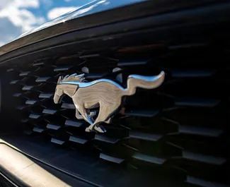 Noleggio Ford Mustang Cabrio. Auto Premium, Lusso, Cabrio per il noleggio in Georgia ✓ Cauzione di Deposito di 560 GEL ✓ Opzioni assicurative RCT, CDW, SCDW, FDW, Passeggeri, Furto.
